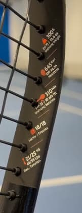 The PP01's printed specs: 300 g, 645 cm², 310 mm, 18/18.
